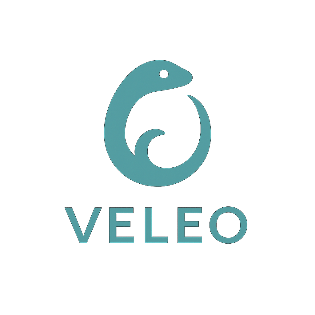 veleo logo
